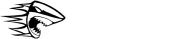 FixPing